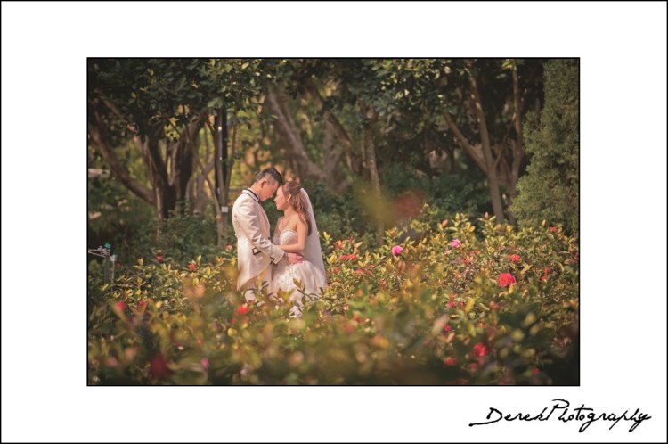 Photo of the week (13)