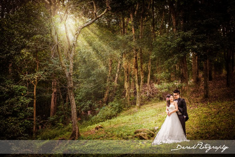 _DKP6930-Edit-Edit_rev