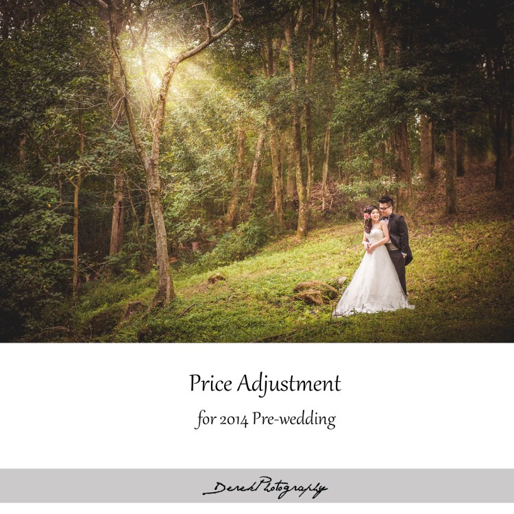 Pre-wedding Price adjustment 2014