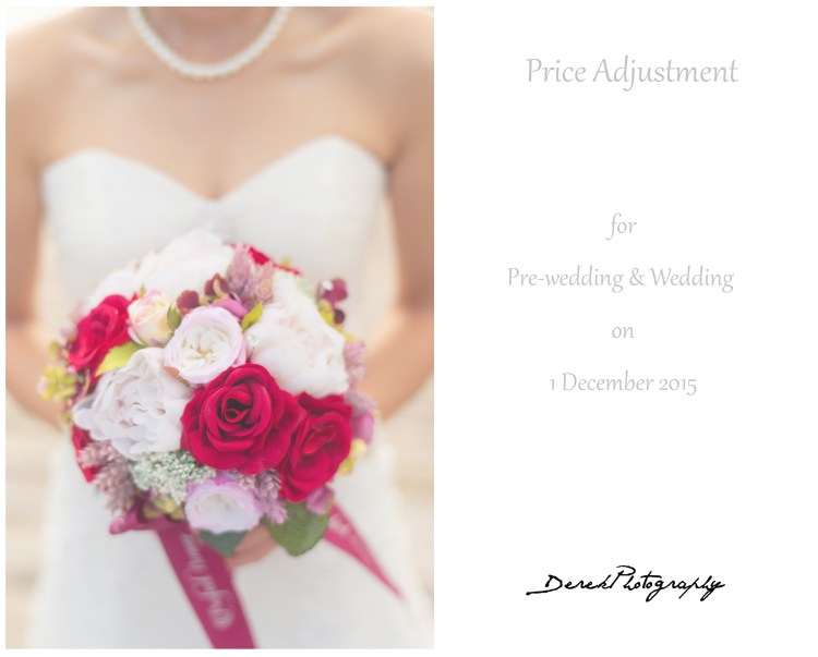 Price adjustment 2016.jpg